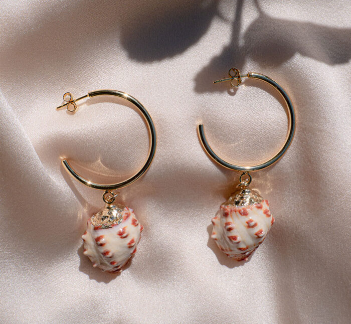 Seashell Earrings